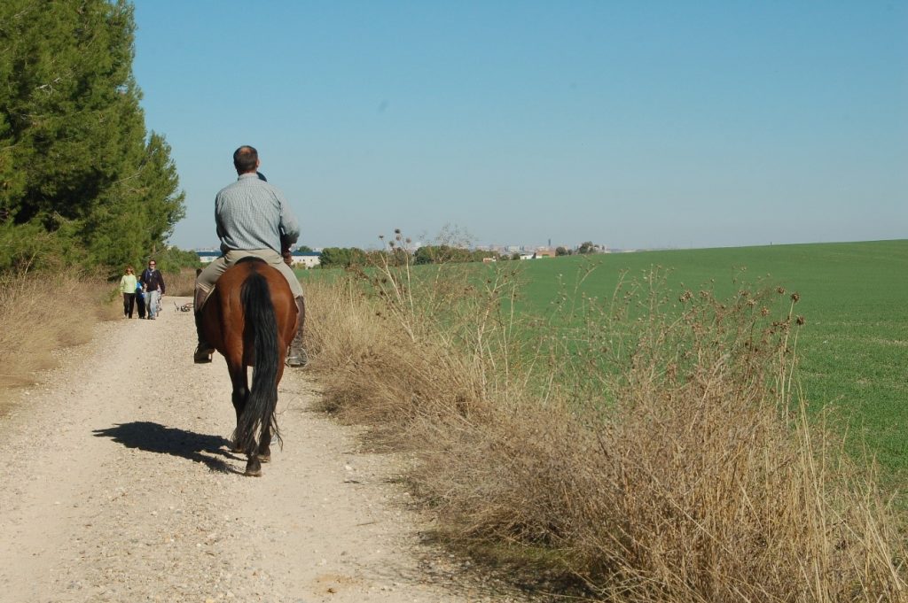 Usos compatibles en la Cañada Real Galiana: senderismo y paseos a caballo.